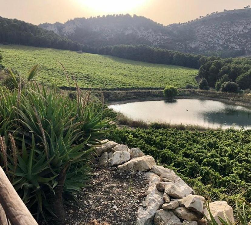 Agriturismo Tenute Pispisa Segesta Calatafimi Zewnętrze zdjęcie