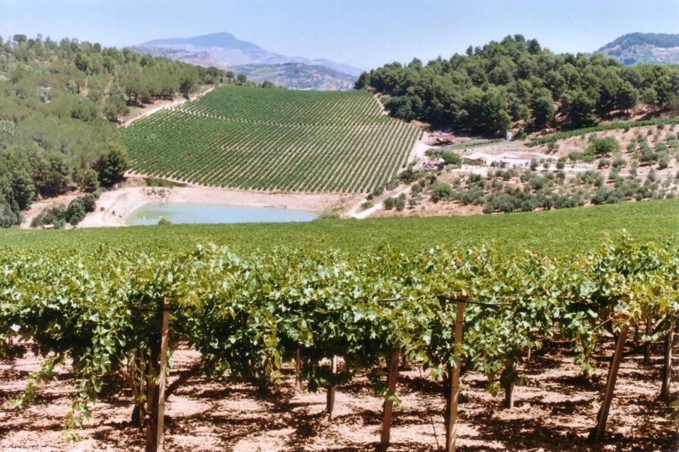 Agriturismo Tenute Pispisa Segesta Calatafimi Zewnętrze zdjęcie