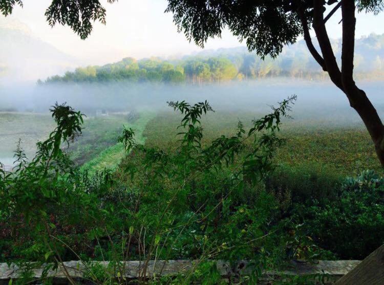 Agriturismo Tenute Pispisa Segesta Calatafimi Zewnętrze zdjęcie