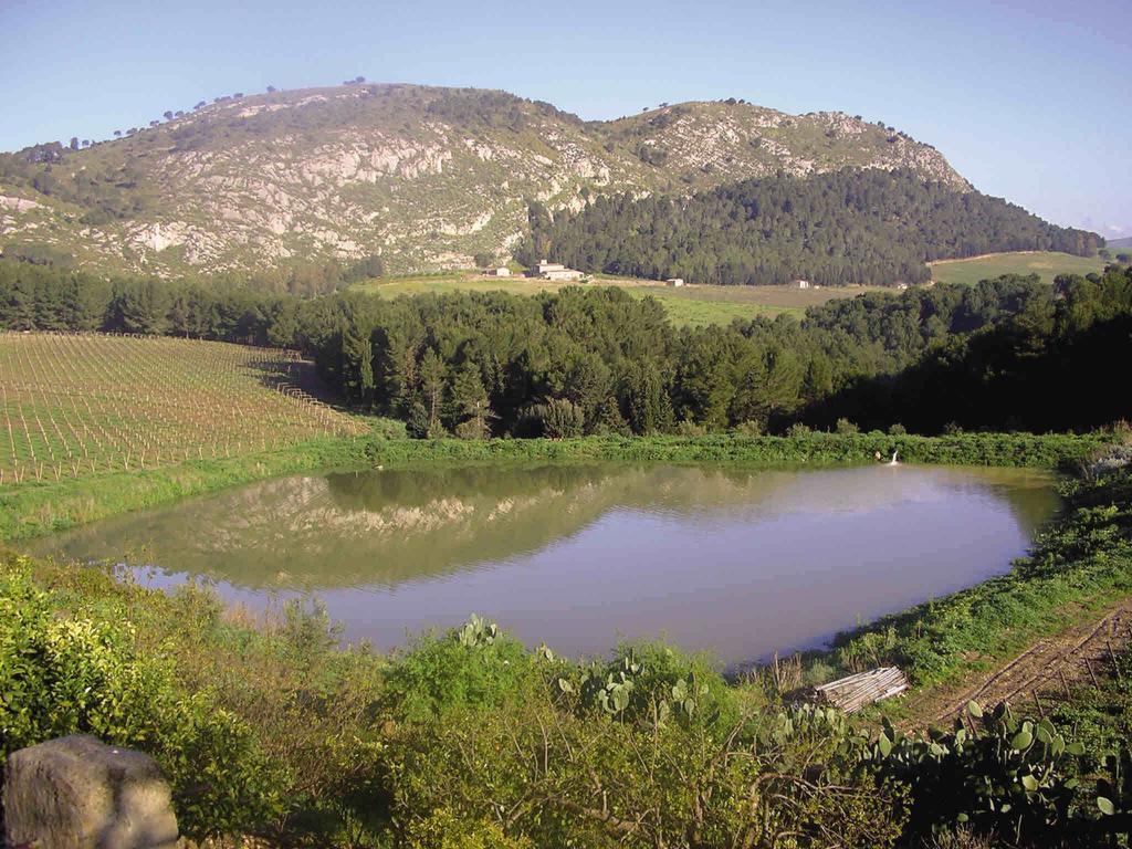 Agriturismo Tenute Pispisa Segesta Calatafimi Zewnętrze zdjęcie