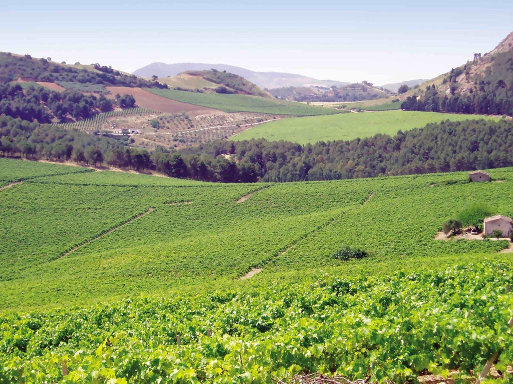Agriturismo Tenute Pispisa Segesta Calatafimi Zewnętrze zdjęcie