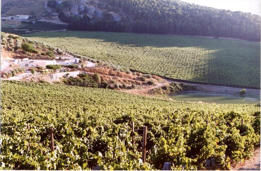 Agriturismo Tenute Pispisa Segesta Calatafimi Zewnętrze zdjęcie