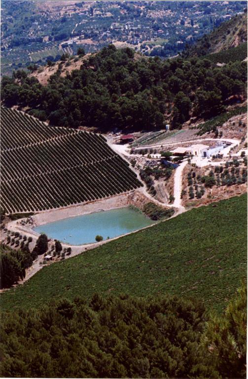 Agriturismo Tenute Pispisa Segesta Calatafimi Zewnętrze zdjęcie