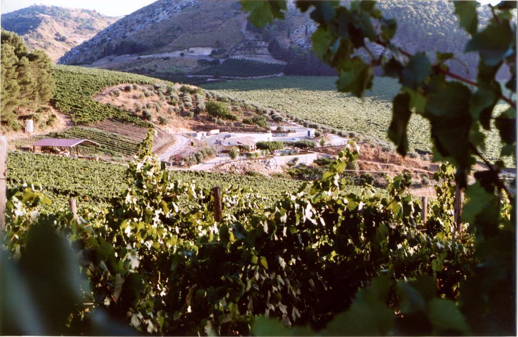 Agriturismo Tenute Pispisa Segesta Calatafimi Zewnętrze zdjęcie