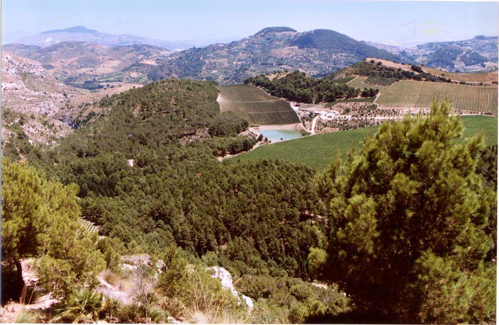 Agriturismo Tenute Pispisa Segesta Calatafimi Zewnętrze zdjęcie