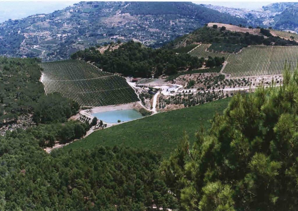 Agriturismo Tenute Pispisa Segesta Calatafimi Zewnętrze zdjęcie