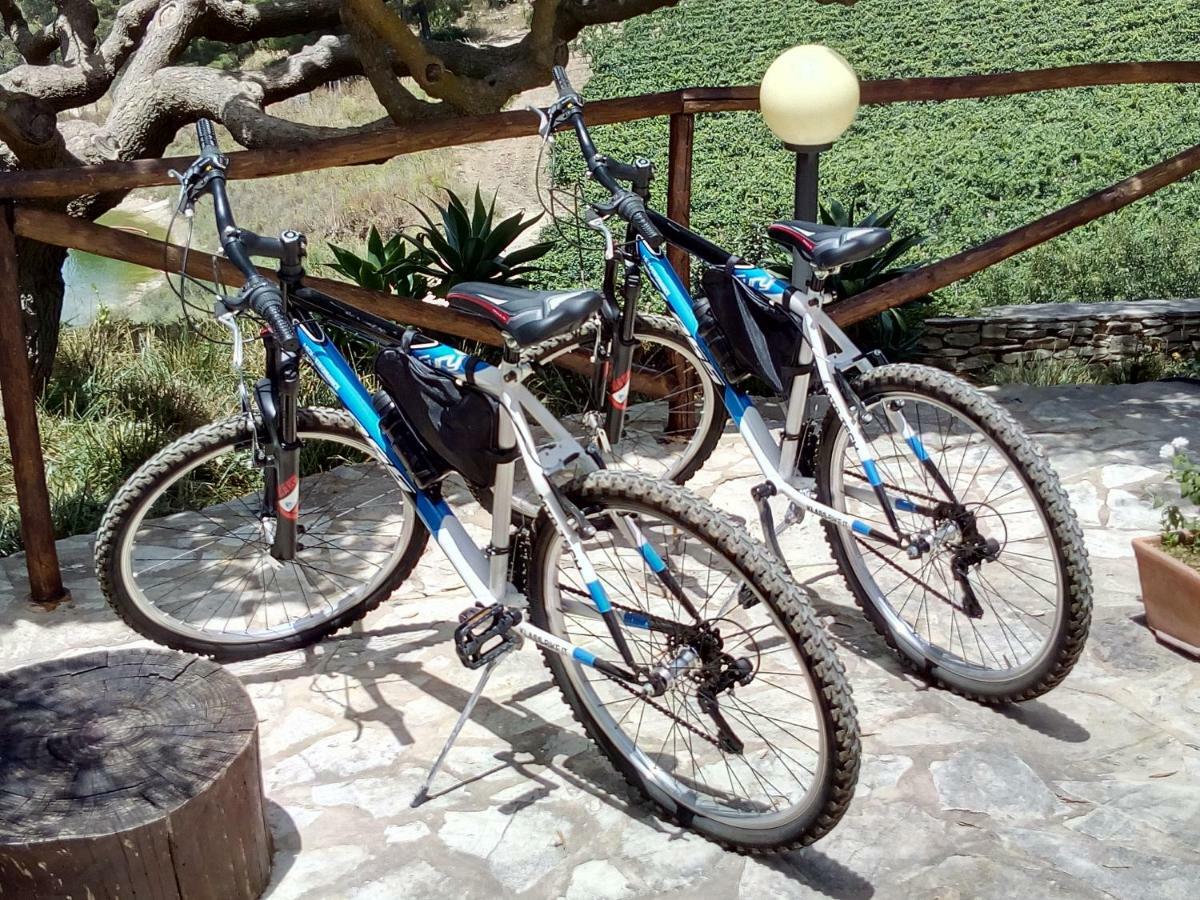 Agriturismo Tenute Pispisa Segesta Calatafimi Zewnętrze zdjęcie